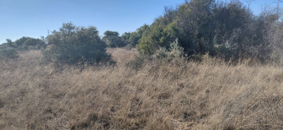 Commercial Property for Sale in Reivilo Northern Cape